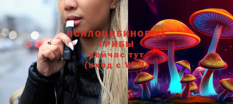 Галлюциногенные грибы MAGIC MUSHROOMS  shop наркотические препараты  Данилов  где продают   ОМГ ОМГ сайт 